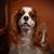 Sandra Womble's profile image