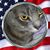 Randi Zurcher Dodge's profile image