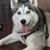 Crystal Wingert's profile image