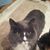 Joy Lundquist-Zeidler's profile image