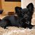Barbara McAleer's profile image