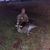PJ Mullerconstruction's profile image