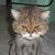 Earnest Brown's profile image