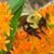 Sharon L. Oberlie Neal's profile image