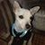Shauna Nacy-Miller's profile image