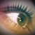 Lisa Novotny's profile image