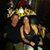 Deni C. Hirsh's profile image