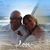 Vicki Alton Gales's profile image
