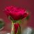 Peggy Giles Fowler's profile image