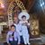 Alejandro E. Rosas's profile image