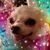 Ghing Pates Segismar's profile image