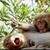 Edward Mundy's profile image