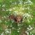 Sherri Lynn James's profile image