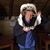 Tom Kaniewski's profile image