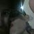 Rachel Servia's profile image