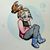 Anastasija Habarova's profile image