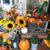 Debbie Garrett Adams's profile image
