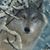 Kim E Patrie's profile image