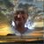 Robert Orye's profile image