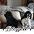 Sandra Fortner Foley's profile image
