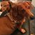Carol Ward Grajewski's profile image