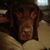 Kymmer Sellountos's profile image