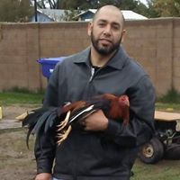 Rick Lopez Gonzalez's profile image