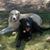 Charlene Stewart Gross's profile image