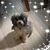 Carol Doyle Ives's profile image