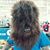 Jerry Carver's profile image