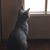 Jacqueline Figueroa's profile image