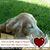 Patricia St. Martin's profile image