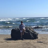 Donna Rector's profile image