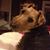 Patricia Lynn's profile image