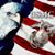 Bob Holden's profile image