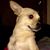 Teirasa Lynn Mower-Camacho's profile image