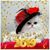 Doris Windsor's profile image