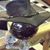 Eric Da Garzster's profile image