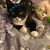 Joni Wheat's profile image