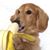 Matt Rigsby's profile image