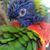Kendyl Bernardin's profile image