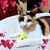 Terri Askew's profile image