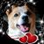 Kathy Brayton's profile image