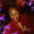 Kelsha Kei'ona Bonnet's profile image