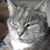 Patty Mazingo Jorgensen's profile image