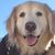 Teddie Brown's profile image