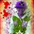 Haikal Cyang Dya II's profile image
