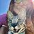 Brenda Labecki Patterson's profile image
