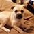 Beverly Jean Dingman's profile image