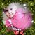 Mary Johnson's profile image